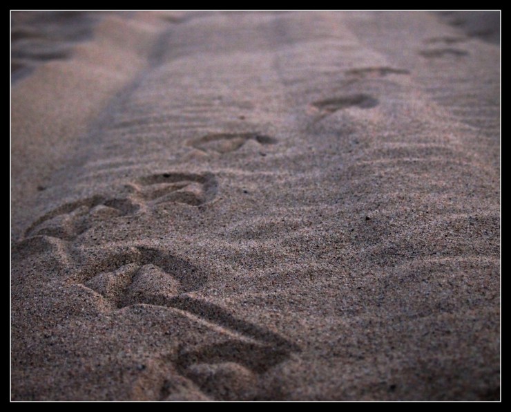20120709-213103.jpg