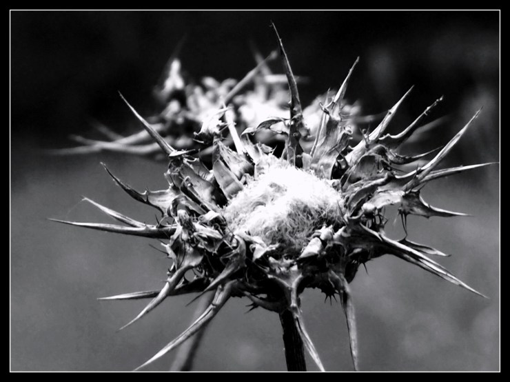 20120902-193547.jpg