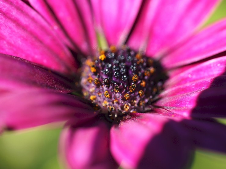 20130221-200528.jpg