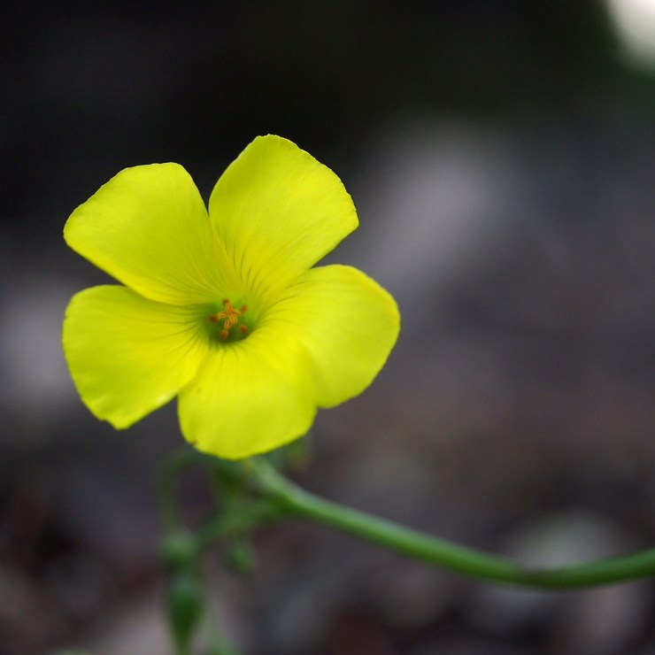 20130401-203320.jpg