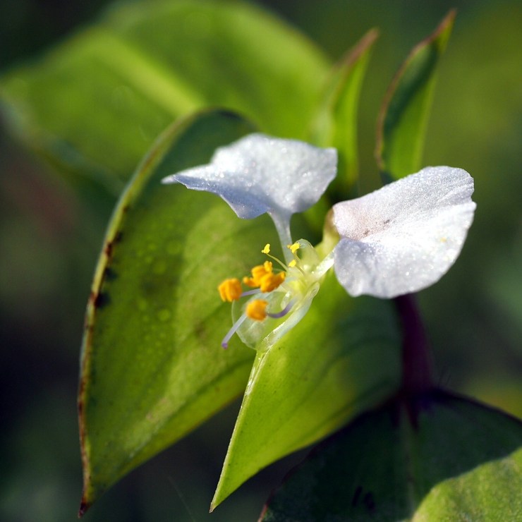 20130501-200036.jpg