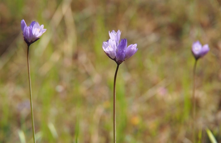 20130805-224629.jpg