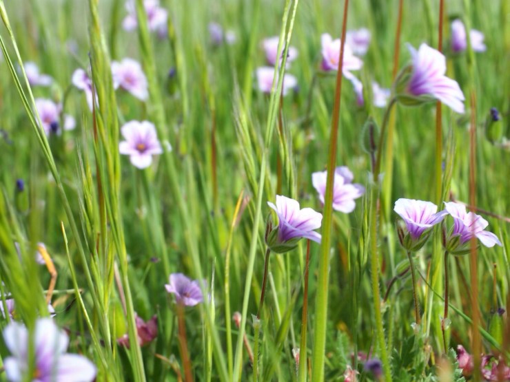 20131107-065525.jpg